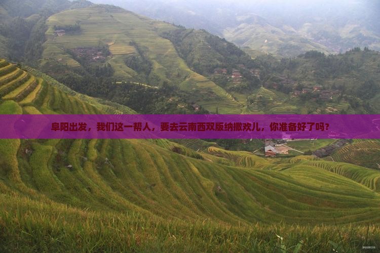 阜阳去云南西双版纳团体旅游