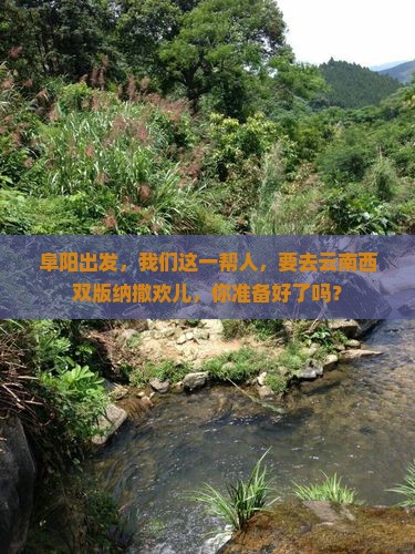 阜阳去云南西双版纳团体旅游