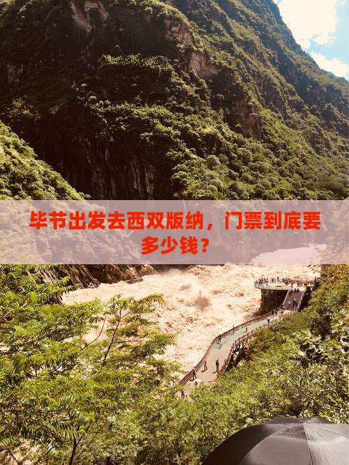 毕节去云南西双版纳门票
