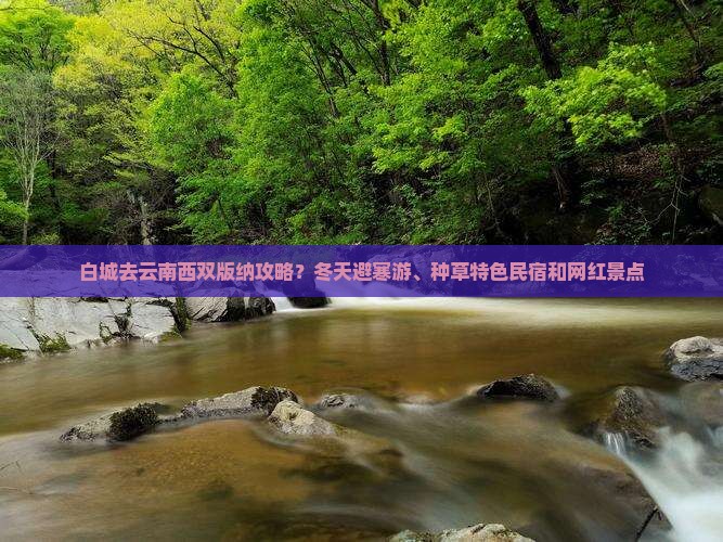 白城去云南西双版纳攻略