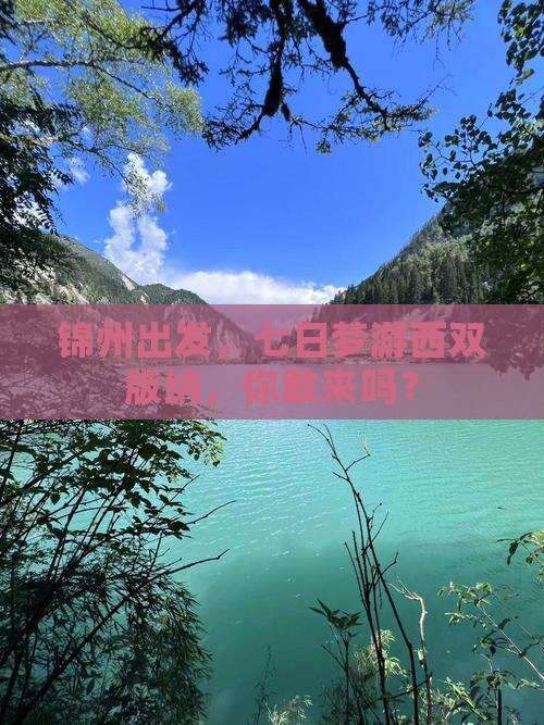 锦州去云南西双版纳七日游