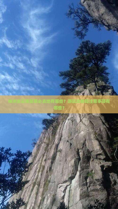 株洲去云南昆明必去地