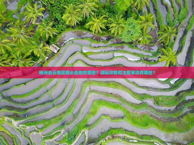 株洲去云南昆明必去地