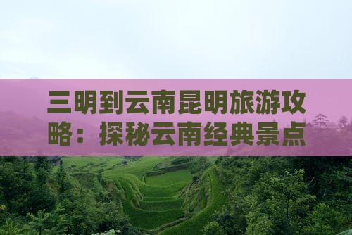 三明到云南昆明个人游