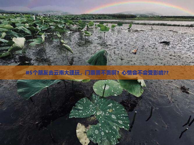 五家渠去云南大理门票