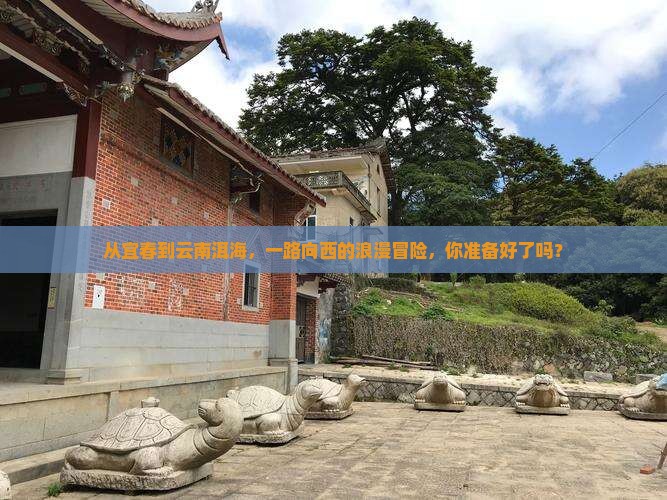 宜春去云南洱海攻略