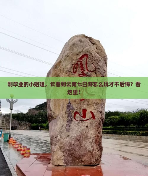 长春到云南七日游