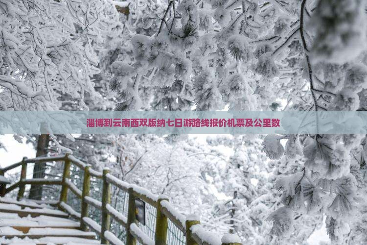 淄博到云南西双版纳七日游