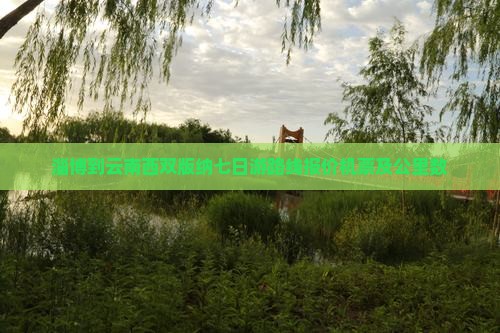 淄博到云南西双版纳七日游