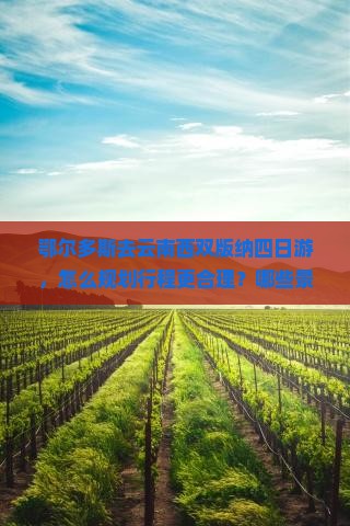 鄂尔多斯去云南西双版纳四日游