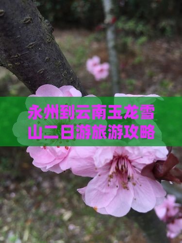 永州到云南玉龙雪山二日游