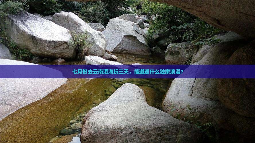 七月去云南洱海三日游