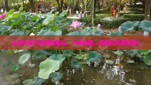 呼伦贝尔到云南香格里拉哪里玩