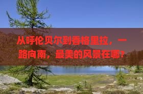 呼伦贝尔到云南香格里拉哪里玩