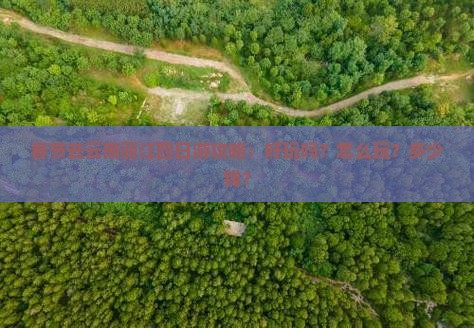 春节去云南丽江四日游