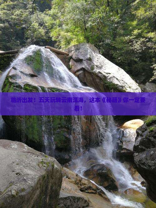 临沂到云南洱海五日游