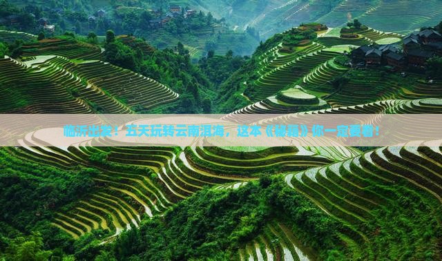 临沂到云南洱海五日游