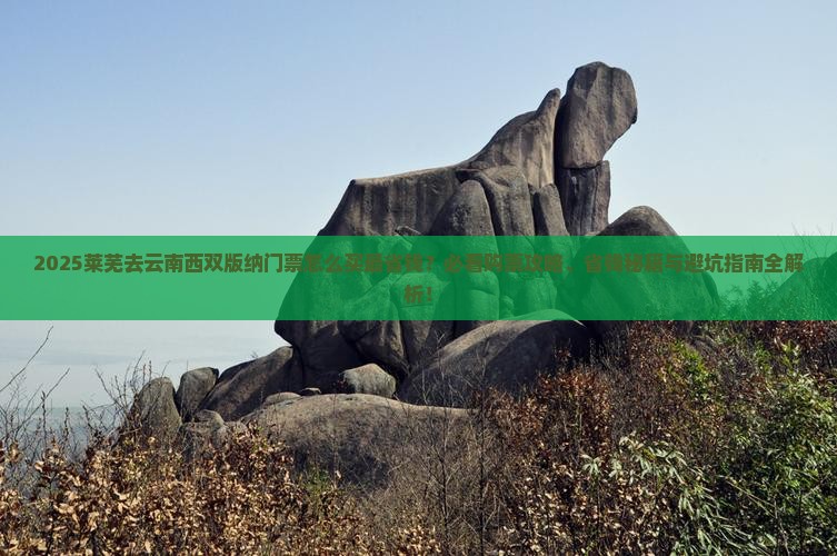 莱芜去云南西双版纳门票