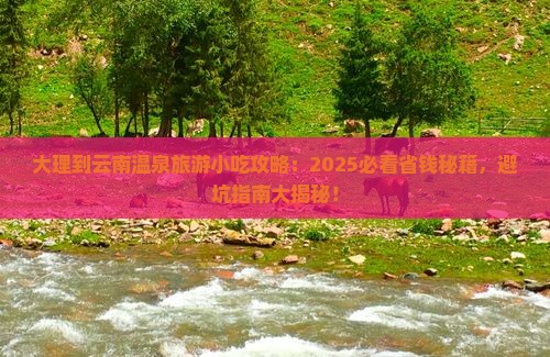 大理到云南温泉旅游小吃
