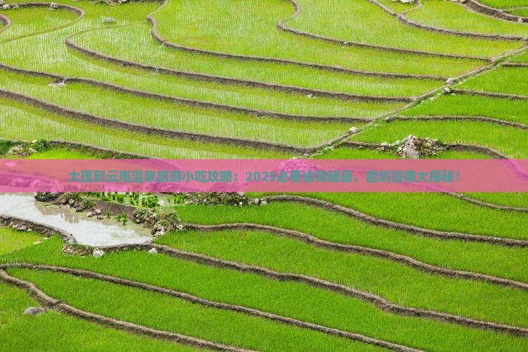 大理到云南温泉旅游小吃