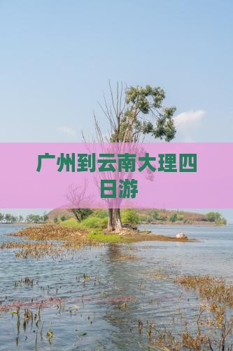 广州到云南大理四日游