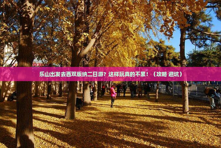 乐山到云南西双版纳二日游