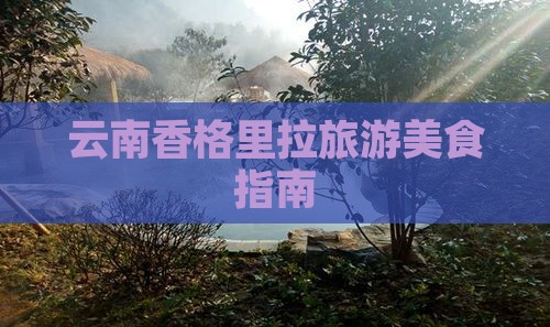 通辽市到云南香格里拉旅游小吃