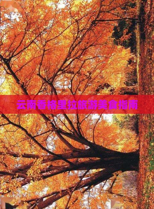 通辽市到云南香格里拉旅游小吃