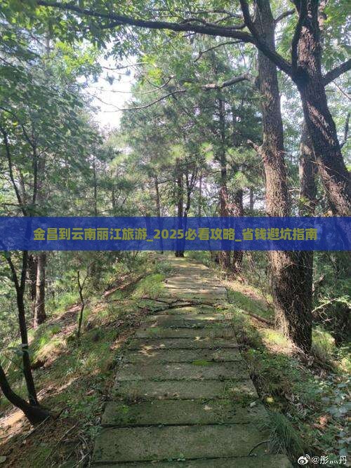 金昌到云南丽江旅游