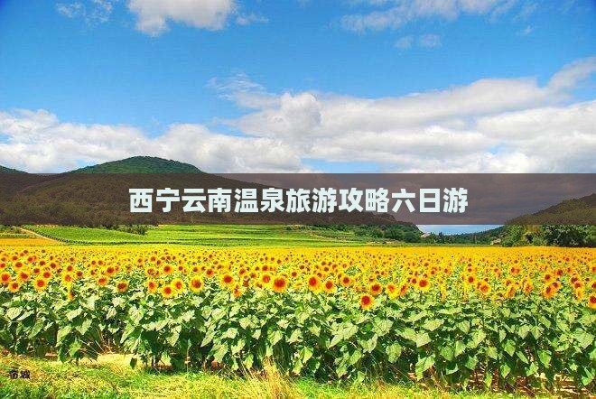 西宁去云南温泉六日游