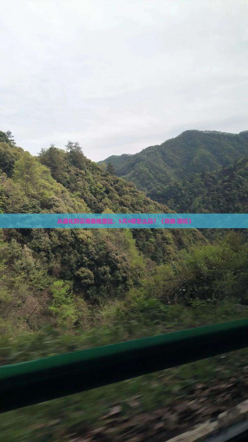通化到云南香格里拉大型旅游团