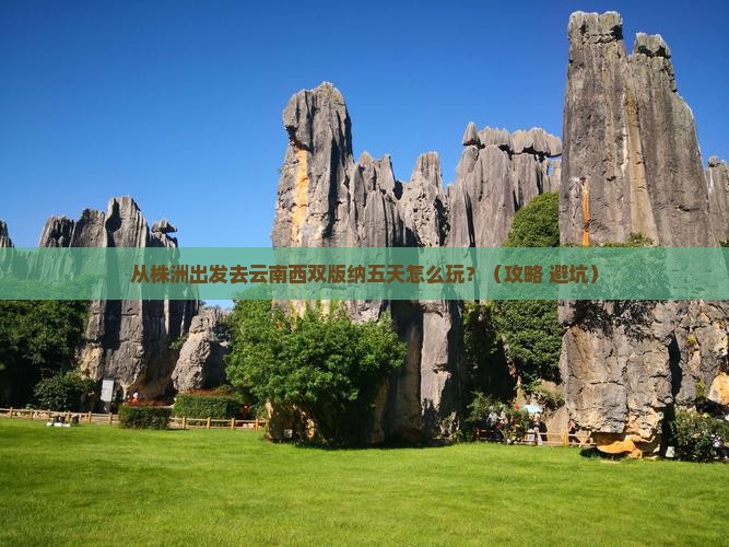 株洲去云南西双版纳五日游