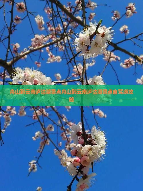 舟山到云南泸沽湖景点