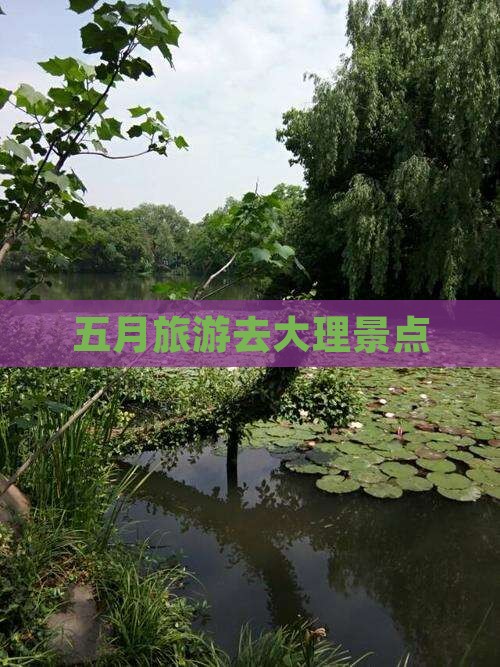五月到云南大理景点