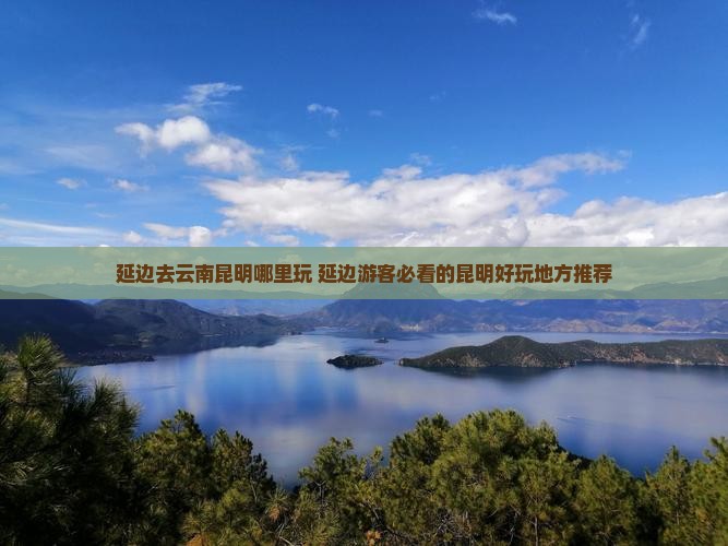 延边去云南昆明哪里玩