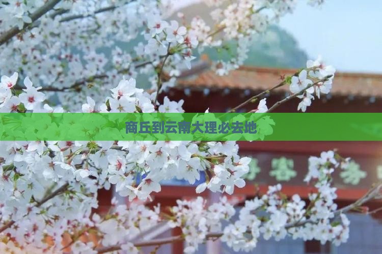商丘到云南大理必去地
