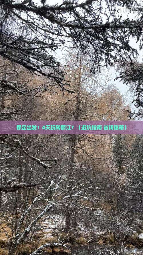 保定到云南丽江四日游