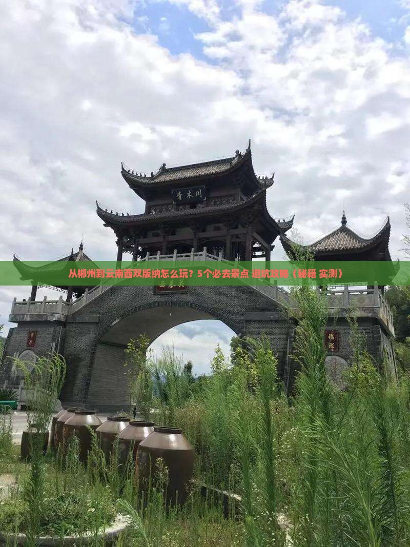 郴州到云南西双版纳哪里玩
