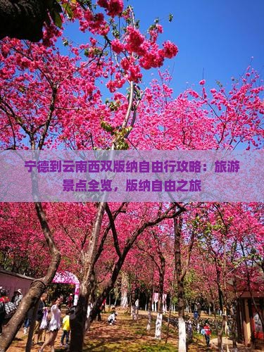 宁德到云南西双版纳个人游