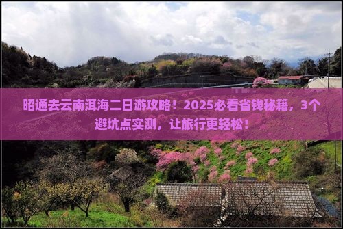 昭通去云南洱海二日游