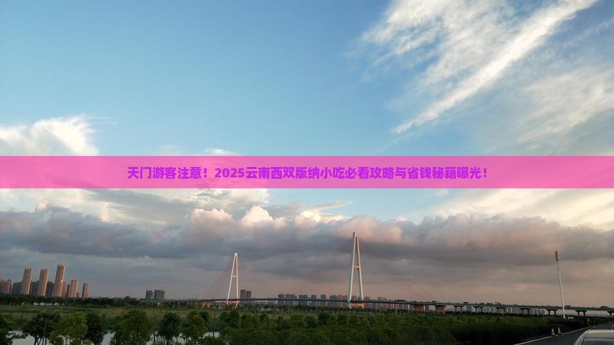 天门去云南西双版纳旅游小吃