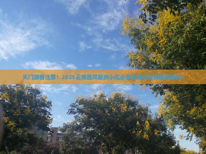 天门去云南西双版纳旅游小吃