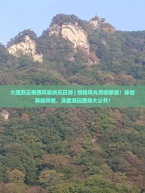 大理到云南西双版纳五日游