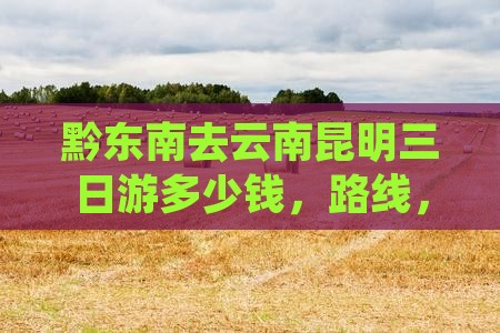 黔东南去云南昆明三日游