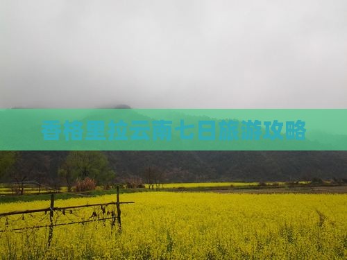 秋天到云南香格里拉七日游