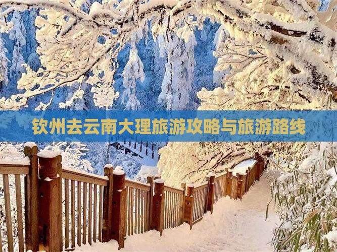 钦州去云南大理旅游