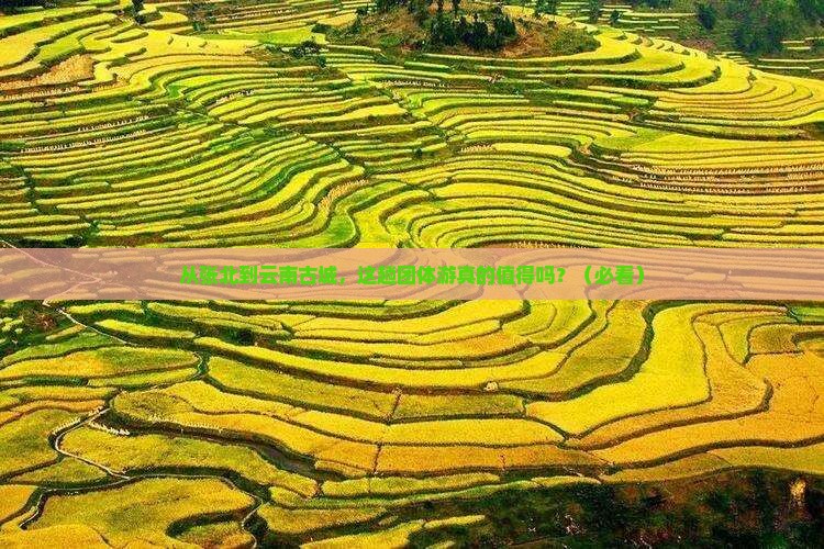 张北到云南古城团体旅游