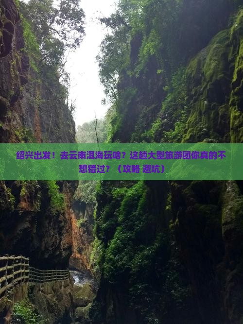 绍兴到云南洱海大型旅游团