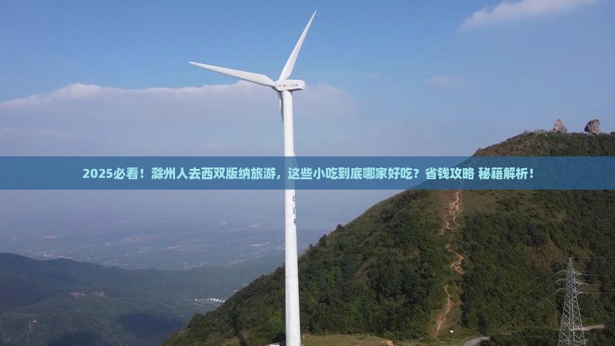 滁州去云南西双版纳旅游小吃