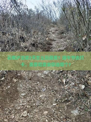 端午节到云南泸沽湖二日游